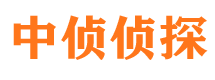 封丘市侦探公司